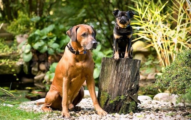 22050089_10210178697523501_4393523536050812722_n