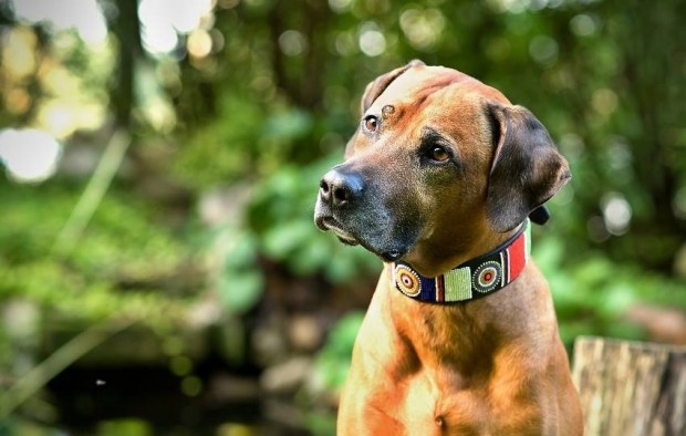 22141195_10210178698323521_3402026330450836323_n