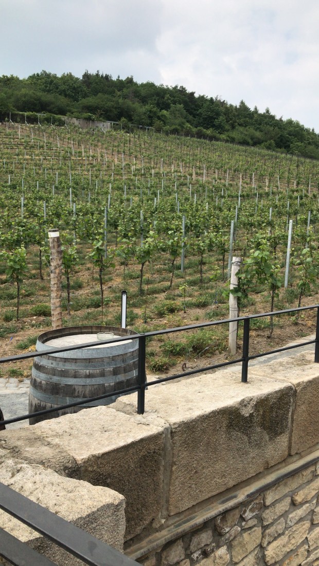 EE83DA0C-1F78-4B5E-AE12-931625DB9725