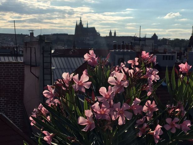 d18413aa-1921-4fdc-9c95-367894fa0b68