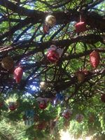 15665531_10208018473239244_3707114338914304697_n