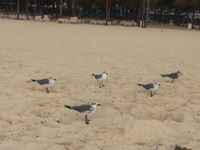 15747722_10208041064724017_2395075654503789482_n